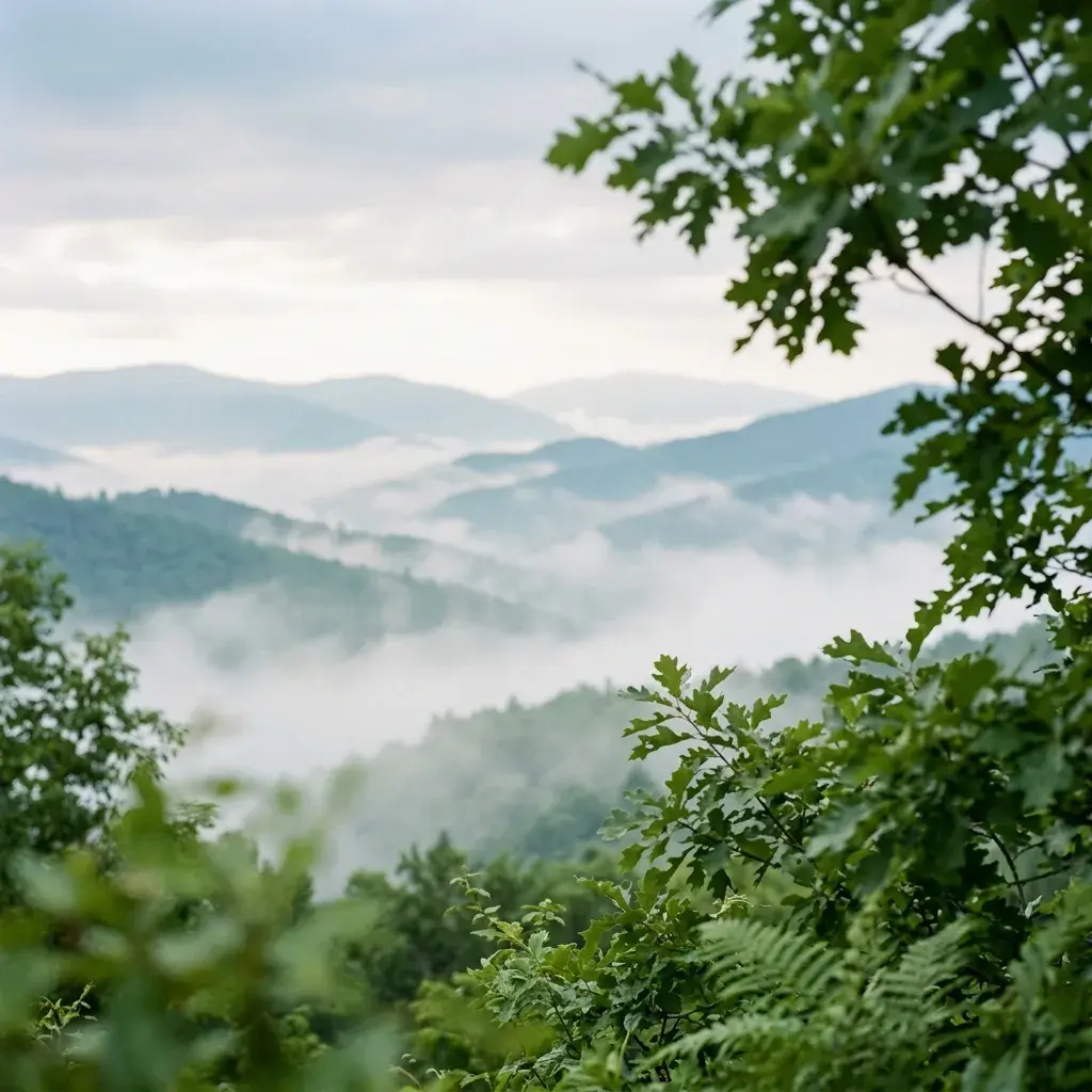 Nature Background